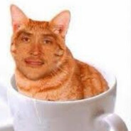 Teemu kissa teemukissa