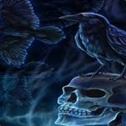 ︻デ 一 Lillis ♔