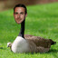 Ryan Gooseling