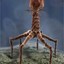 T4_bacteriophage