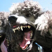 Психо Пудель