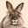 TECNO EasyDrop