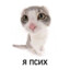 &lt;-- ебаный хуесос