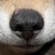 SwiftFox - steam id 76561197963854028
