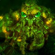 Vegallone - steam id 76561197961207302