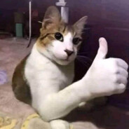 Ting - steam id 76561197964721487
