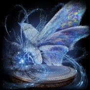 Wisdom of NIGHT