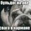 Бульдозер