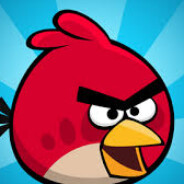 Angry Bird