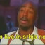 TURK = MONGOL URTA