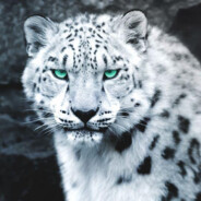 用舌尖撬开屁男的屁股然后暴风吸入