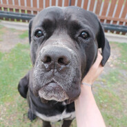 Σ:D - steam id 76561198110636155