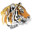 Tiger367 avatar