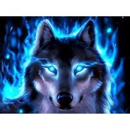 tajfun blackwolf20191114