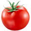 TectalTomato