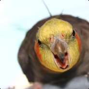 Tiel