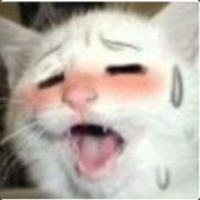 不行要被玩坏了