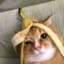 gato banana