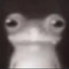 I love only frogs