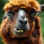 Kalai.Llama