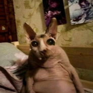 اللعنة العاهرة ال