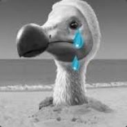 Floyyd - steam id 76561197971694148