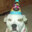 DampElk41041894 avatar