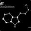 Molly Acid