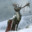 Caribou de ficelle