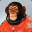 Xenosimian
