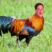 Jethro Rooster