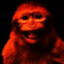 monkey_bones