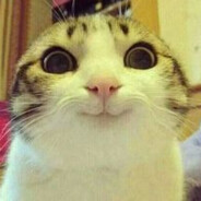 Teck's Avatar