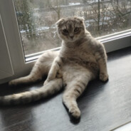 sivir - steam id 76561199775933322