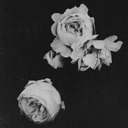 Youthxanasia