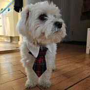 JOMO /ᐠ｡ꞈ｡ᐟ\ - steam id 76561197993599248