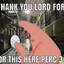Perc 30 Percy