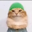DOLLCHAN