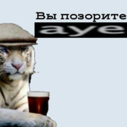 Осуждаю А.У.Е