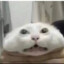 LoobLord