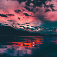 тот самый - steam id 76561199685834254