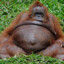 Radmir