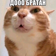 глупеньки челик