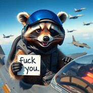 raccoon Steam avatar