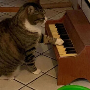 боюсь женщин