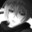 tomoe avatar