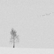 祝你成为很會賺錢的人