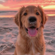 ToNiePlazaTuSieNieLezy