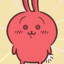 Usagi