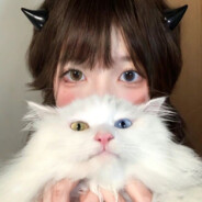 雨中红伞探白花